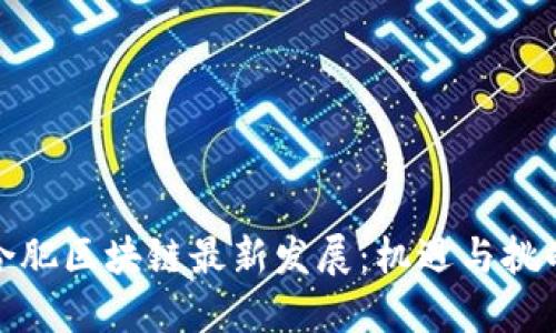 合肥区块链最新发展：机遇与挑战