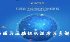 币圈与区块链的深度关系解析