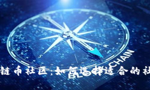 深入探讨区块链币社区：如何选择适合的社区与项目参与