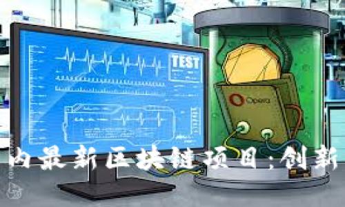 探索国内最新区块链项目：创新与趋势