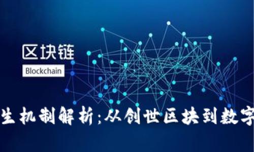 区块链币的诞生机制解析：从创世区块到数字货币的多样性