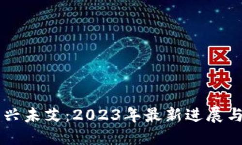 区块链方兴未艾：2023年最新进展与未来展望