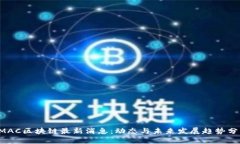 SMAC区块链最新消息：动态与未来发展趋势分析