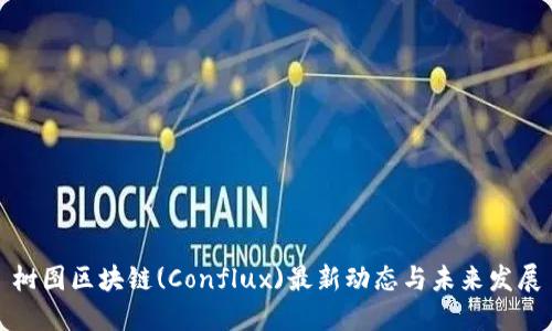 树图区块链(Conflux)最新动态与未来发展