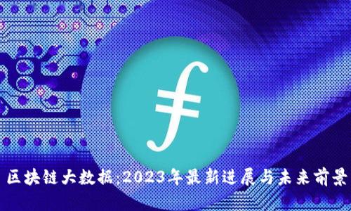区块链大数据：2023年最新进展与未来前景