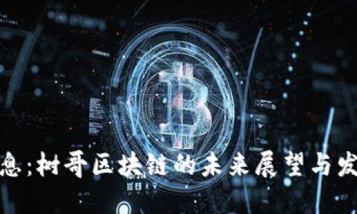 最新消息：树哥区块链的未来展望与发展动态