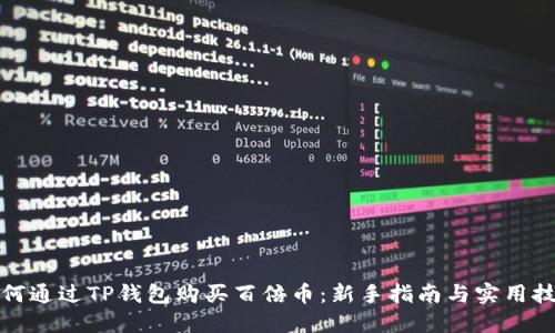 如何通过TP钱包购买百倍币：新手指南与实用技巧