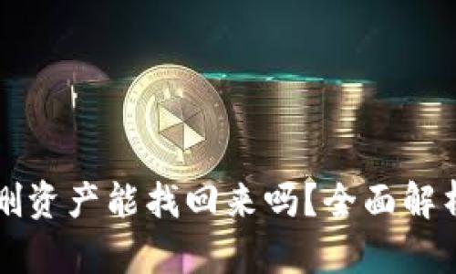 TP钱包误删资产能找回来吗？全面解析恢复方法