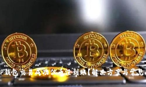 为什么TP钱包交易成功但币没到账？解决方案与常见问题解析