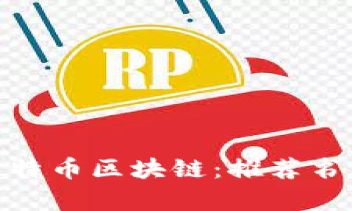 : 深入了解比特币区块链：推荐书籍与学习资源