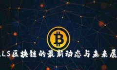 FLLS区块链的最新动态与未来展望