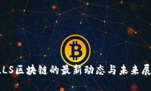 FLLS区块链的最新动态与未来展望