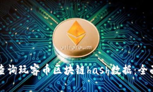 如何查询玩客币区块链hash数据：全面指南
