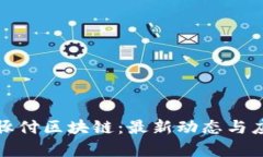 探索海豚付区块链：最新动态与应用前景