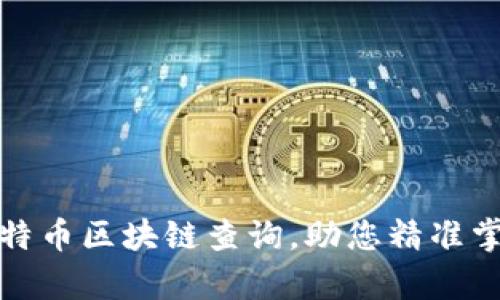 全面解析比特币区块链查询，助您精准掌握交易动态