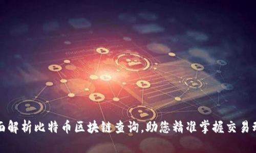 全面解析比特币区块链查询，助您精准掌握交易动态