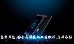 TP钱包热钱包：安全与便捷的双重挑战，您准备好