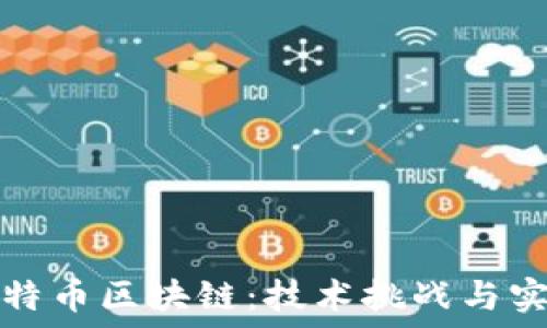  

掌握比特币区块链：技术挑战与实践反思