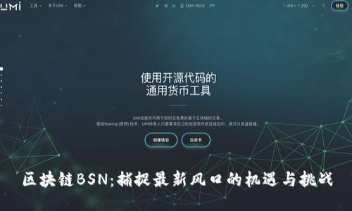 区块链BSN：捕捉最新风口的机遇与挑战