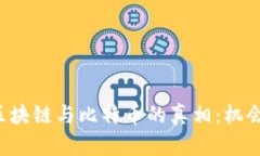 马云揭示区块链与比特币的真相：机会还是陷阱