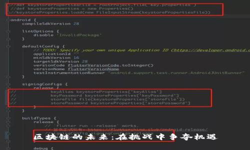 区块链的未来：在挑战中争夺机遇