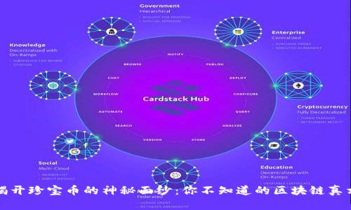 揭开珍宝币的神秘面纱：你不知道的区块链真相