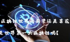 派币：区块链世界的新星还是昙花一现？派币是