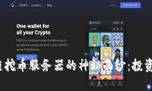 揭开区块链挖币服务器的神秘面纱：投资还是风险？