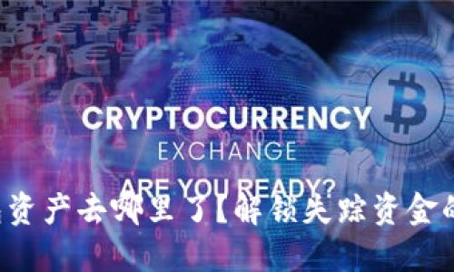 你的TP钱包资产去哪里了？解锁失踪资金的终极指南！