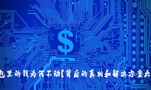 TP钱包里的钱为何不动？背后的真相和解决方案大揭秘！