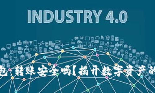 TP观察钱包：转账安全吗？揭开数字资产的神秘面纱