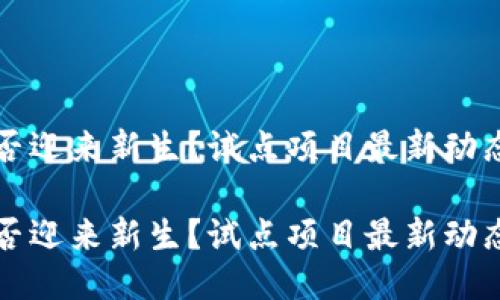 区块链技术能否迎来新生？试点项目最新动态揭示未来趋势

区块链技术能否迎来新生？试点项目最新动态揭示未来趋势