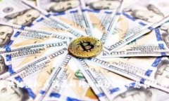 揭开区块链虚拟币骗局的神秘面纱！你不想错过