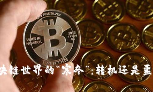 区块链世界的“寒冬”：转机还是噩梦？