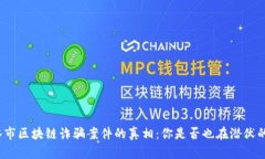 揭开天水市区块链诈骗案件的真相：你是否也在