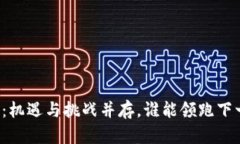 区块链的未来：机遇与挑战并存，谁能领跑下一