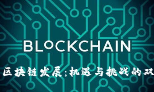 新西兰区块链发展：机遇与挑战的双面之旅