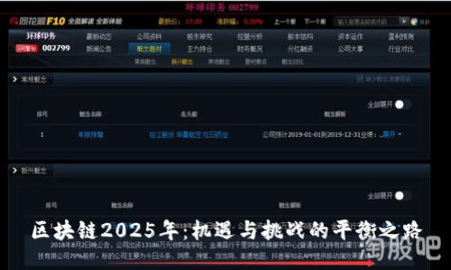 区块链2025年：机遇与挑战的平衡之路