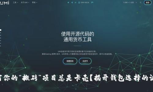 为何你的“搬砖”项目总是卡壳？揭开钱包选择的谜团！