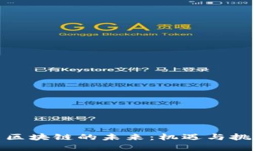 奇亚币区块链的未来：机遇与挑战并存