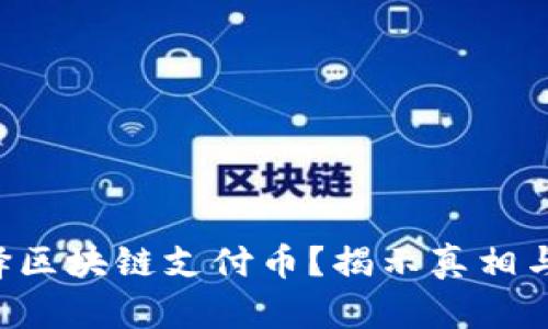 为什么选择区块链支付币？揭示真相与未来机遇！