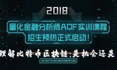 深入理解比特币区块链：是机会还是陷阱？