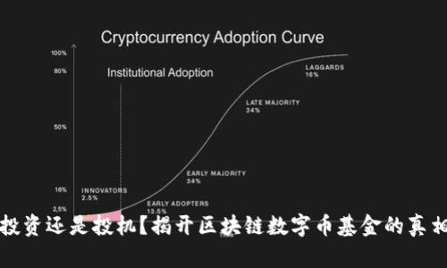 投资还是投机？揭开区块链数字币基金的真相