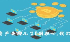 你的TP钱包资产去哪儿了？别担心，我们一起来找