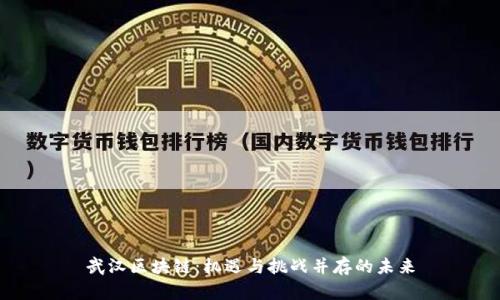 武汉区块链：机遇与挑战并存的未来