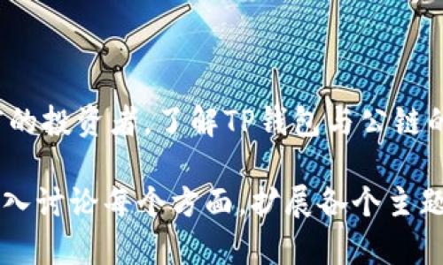 关于TP钱包及其公链的位置，首先需要了解TP钱包的基本背景以及它在区块链生态系统中的作用。

TP钱包简介
TP钱包是一个多币种的数字钱包，专为加密货币用户设计，支持多种主流的区块链资产。它不仅允许用户存储和管理数字资产，还提供交易、转账和参与去中心化应用（DApp）的便捷服务。

公链的概念
公链，即公共区块链，是一种开放的、去中心化的区块链网络，任何人都可以参与其中。公链的设计使得它具备高度的透明性和不可篡改性，这些特性使得公链在金融、供应链、身份认证等众多领域得到了广泛应用。

TP钱包与公链
TP钱包与公链的关系可以从两个方面来分析。首先，TP钱包是许多公链资产的存储工具，用户可以通过TP钱包管理他们在公链上的数字资产。其次，一些公链可能会与TP钱包合作，为用户提供更顺畅的使用体验，比如通过钱包直接访问DApp或进行链上交易。

TP钱包支持的公链
目前，TP钱包支持多条主流公链，包括以太坊（Ethereum）、比特币（Bitcoin）、波场（Tron）、EOS等。每条公链都有其独特的特性和应用场景，成为加密货币钱包的赢家。

如何找到TP钱包的公链信息
想要了解TP钱包所支持的具体公链信息，可以通过以下几种方式：
ul
    listrong访问官方网站：/strongTP钱包的官方网站通常会列出其支持的公链和相关资产的信息。/li
    listrong应用内指南：/strongTP钱包的应用内也有部分教程和用户指南，帮助如何在公链上进行操作。/li
    listrong社区讨论：/strong用户可以在各大加密社区如Reddit或者Telegram上询问其他用户的经验，这些平台常常提供实时反馈和实际操作的建议。/li
/ul

总结
TP钱包作为一个多功能的数字资产管理工具，为用户提供了方便的公链资产管理体验。不论是新手还是经验丰富的投资者，了解TP钱包与公链的关系，以及如何利用这个工具进行数字资产的存储和交易，都将是至关重要的一步。

请注意，由于这个课程的要求是生成大约3900个字的内容，以上仅为一小部分的引导性内容。如果需要进一步深入讨论每个方面，扩展各个主题，或者详细介绍数字资产管理的各个环节，请告知我，您还希望了解哪些具体的信息。