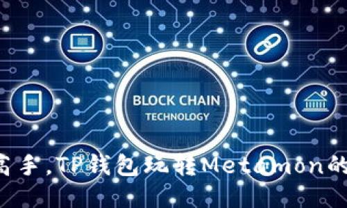 从新手到高手，TP钱包玩转Metamon的终极攻略！