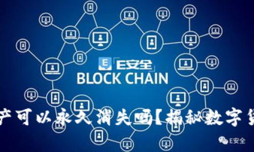 TP钱包中的资产可以永久消失吗？揭秘数字货币安全的真相