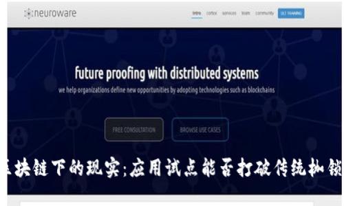 区块链下的现实：应用试点能否打破传统枷锁？