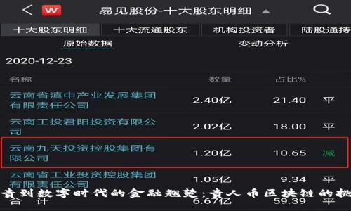 从网络新贵到数字时代的金融翘楚：贵人币区块链的挑战与机遇